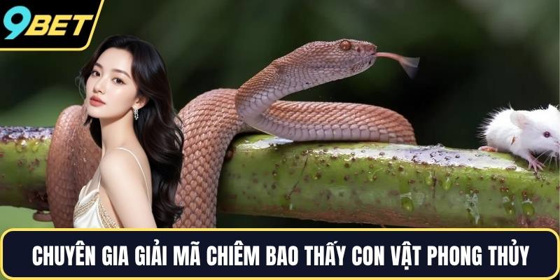 Chuyên gia giải mã chiêm bao thấy con vật phong thủy