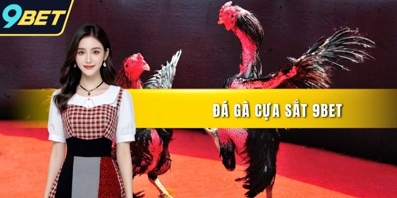 Đá gà cựa sắt