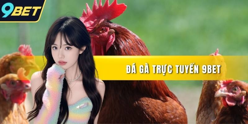 Đá gà trực tuyến
