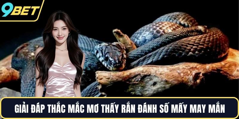 Giải đáp thắc mắc mơ thấy rắn đánh số mấy may mắn