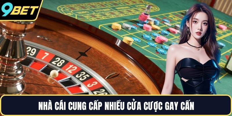 Nhà cái cung cấp nhiều cửa cược gay cấn