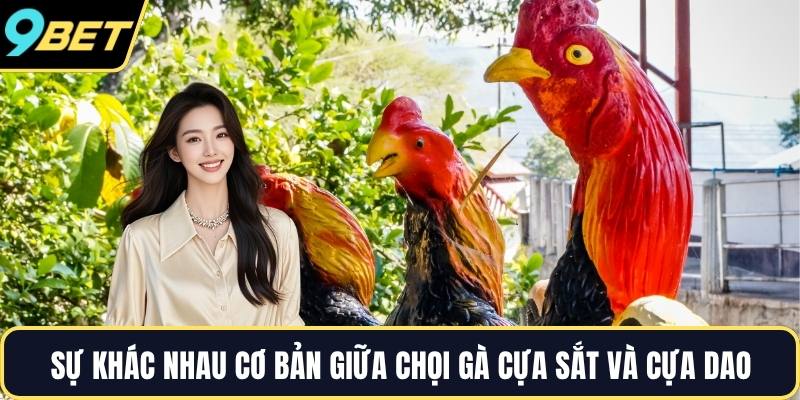 Sự khác nhau cơ bản giữa chọi gà cựa sắt và cựa dao
